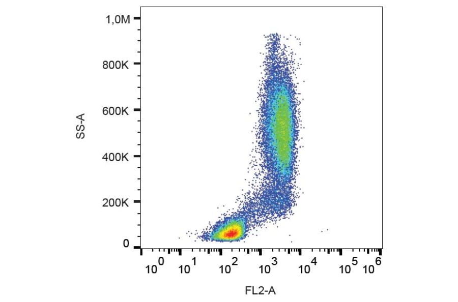 Flow Cytometry - Anti-GCSF Receptor Antibody [LMM741] (PE) (A85748)