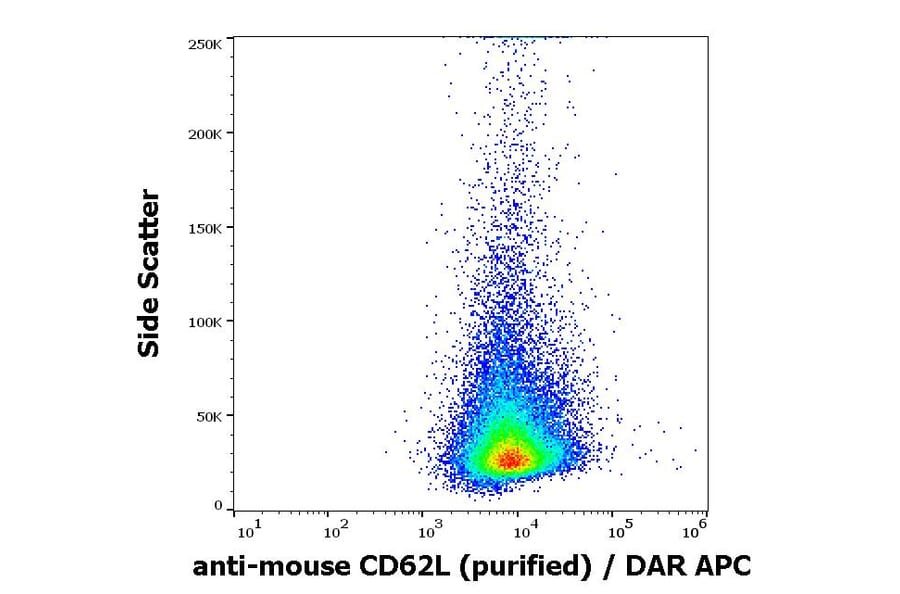 Flow Cytometry - Anti-CD62L Antibody [Mel-14] (A85750)