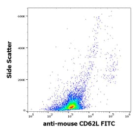 Flow Cytometry - Anti-CD62L Antibody [Mel-14] (FITC) (A85751)