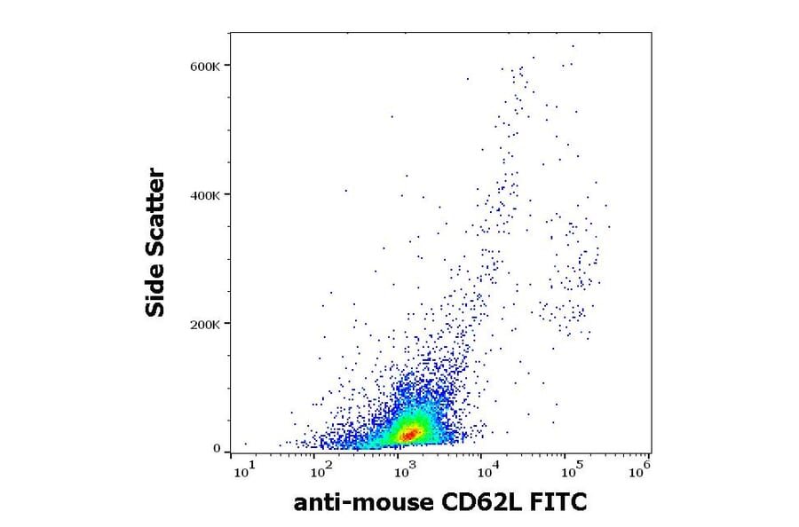 Flow Cytometry - Anti-CD62L Antibody [Mel-14] (FITC) (A85751)
