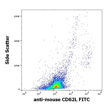 Flow Cytometry - Anti-CD62L Antibody [Mel-14] (FITC) (A85751)