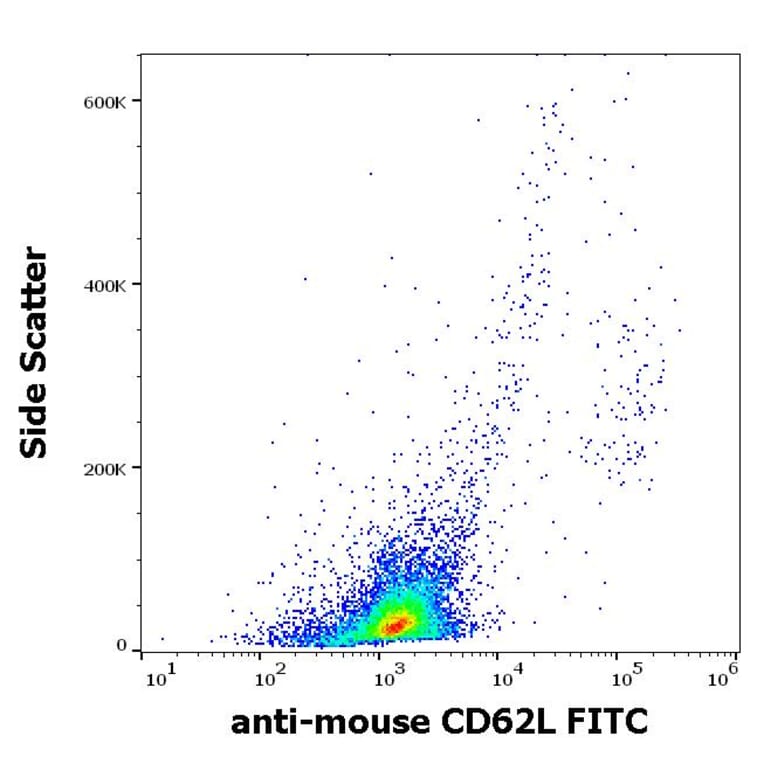 Flow Cytometry - Anti-CD62L Antibody [Mel-14] (FITC) (A85751)
