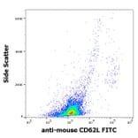 Flow Cytometry - Anti-CD62L Antibody [Mel-14] (FITC) (A85751)