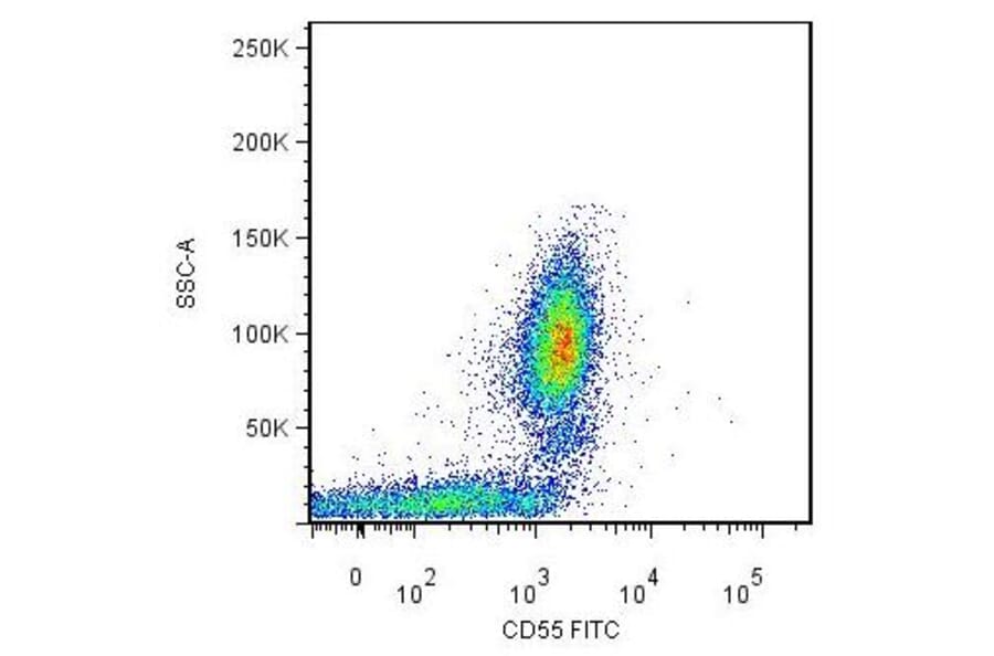Flow Cytometry - Anti-CD55 Antibody [MEM-118] (FITC) (A85753)