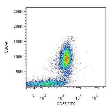 Flow Cytometry - Anti-CD55 Antibody [MEM-118] (FITC) (A85753)