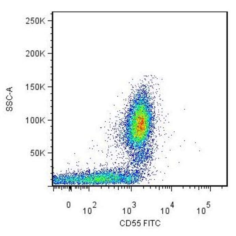 Flow Cytometry - Anti-CD55 Antibody [MEM-118] (FITC) (A85753)