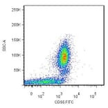 Flow Cytometry - Anti-CD55 Antibody [MEM-118] (FITC) (A85753)