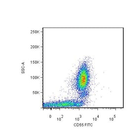 Flow Cytometry - Anti-CD55 Antibody [MEM-118] (FITC) (A85748) - Antibodies.com