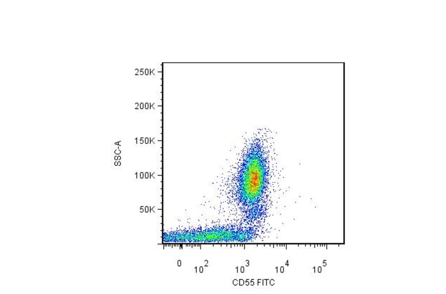 Flow Cytometry - Anti-CD55 Antibody [MEM-118] (FITC) (A85748) - Antibodies.com