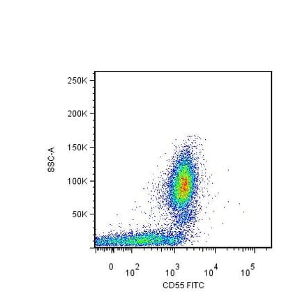 Flow Cytometry - Anti-CD55 Antibody [MEM-118] (FITC) (A85748) - Antibodies.com