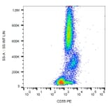 Flow Cytometry - Anti-CD55 Antibody [MEM-118] (PE) (A85754)