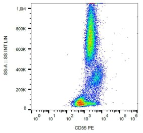 Flow Cytometry - Anti-CD55 Antibody [MEM-118] (PE) (A85753) - Antibodies.com