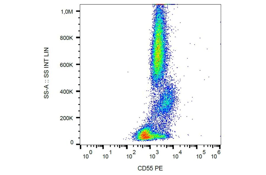 Flow Cytometry - Anti-CD55 Antibody [MEM-118] (PE) (A85753) - Antibodies.com