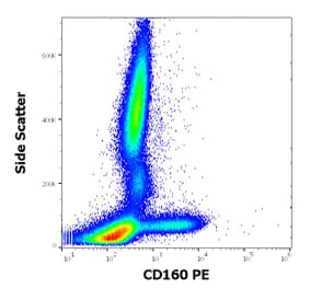 Flow Cytometry - Anti-CD160 Antibody [BY55] (PE) (A85755)