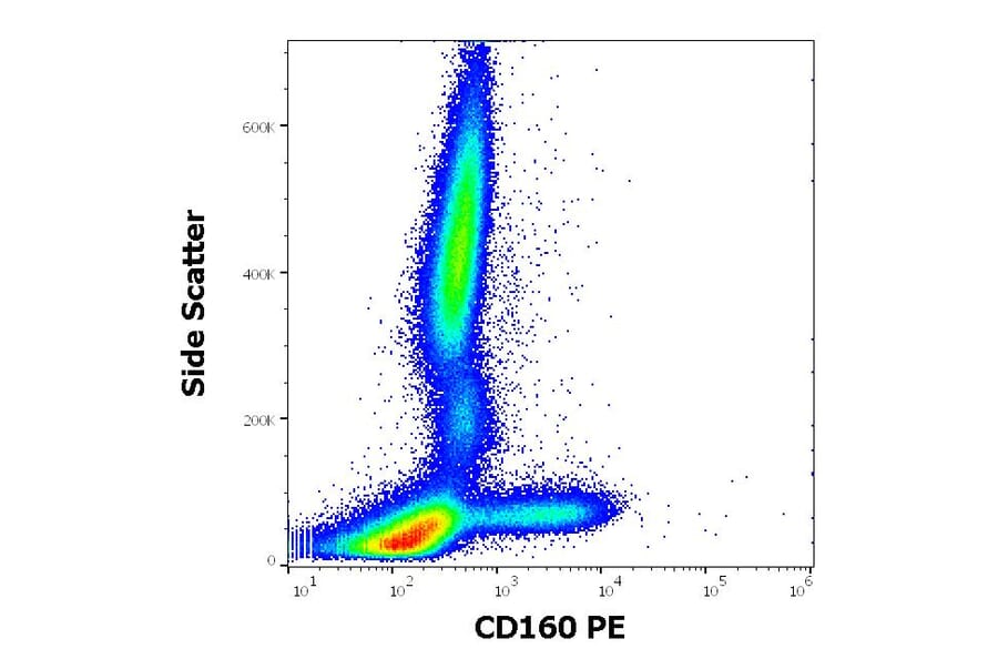 Flow Cytometry - Anti-CD160 Antibody [BY55] (PE) (A85755)