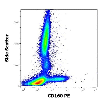 Flow Cytometry - Anti-CD160 Antibody [BY55] (PE) (A85755)