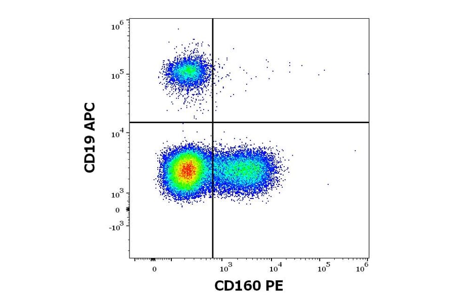 Flow Cytometry - Anti-CD160 Antibody [BY55] (PE) (A85755)