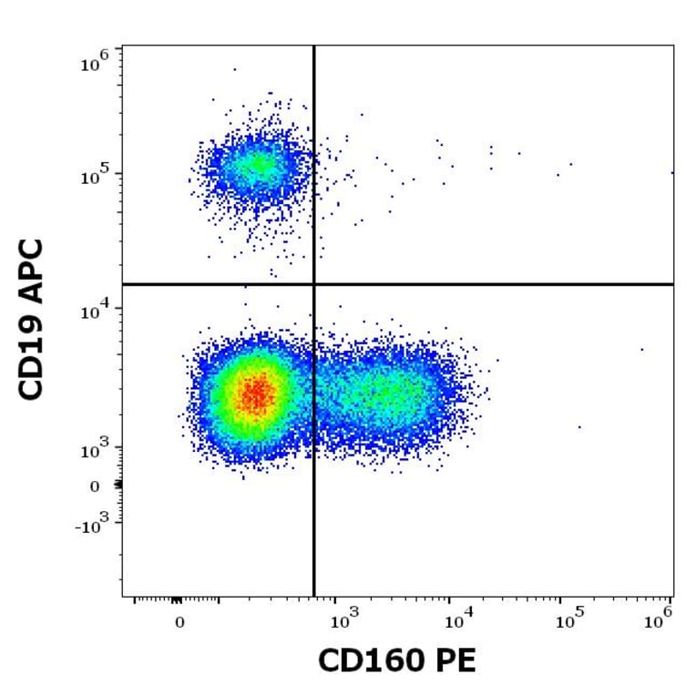 Flow Cytometry - Anti-CD160 Antibody [BY55] (PE) (A85755)