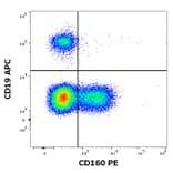 Flow Cytometry - Anti-CD160 Antibody [BY55] (PE) (A85755)