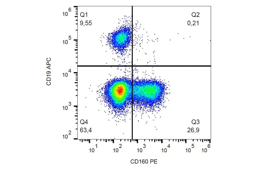 Flow Cytometry - Anti-CD160 Antibody [BY55] (PE) (A85754) - Antibodies.com