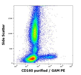 Flow Cytometry - Anti-CD160 Antibody [BY55] (A85756)