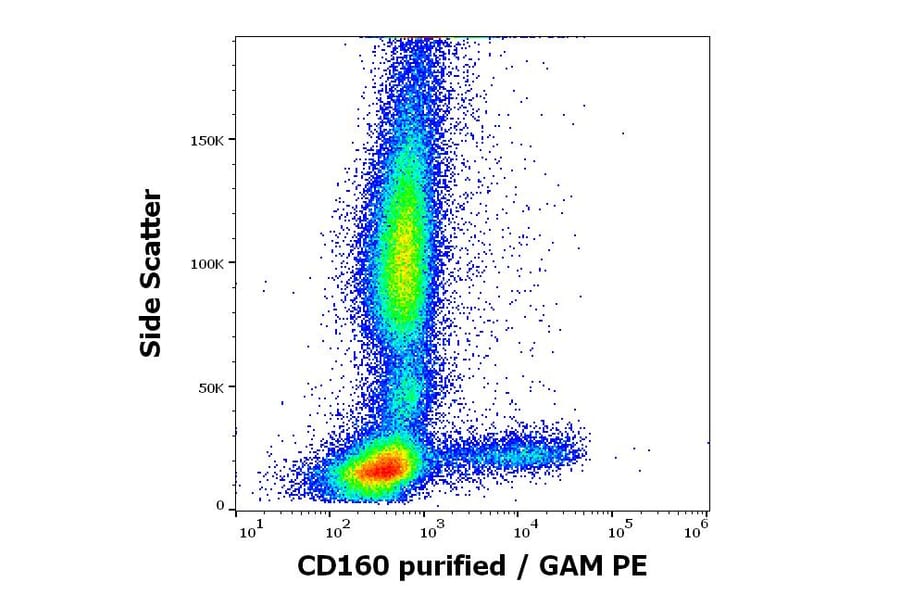 Flow Cytometry - Anti-CD160 Antibody [BY55] (A85756)
