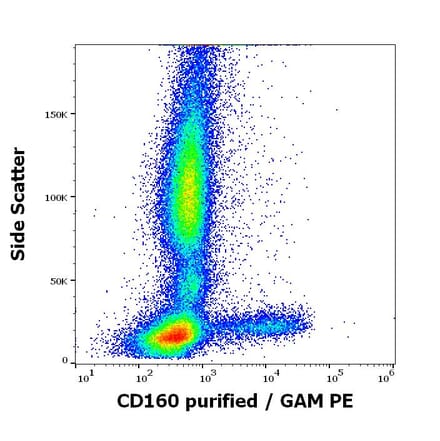 Flow Cytometry - Anti-CD160 Antibody [BY55] (A85756)
