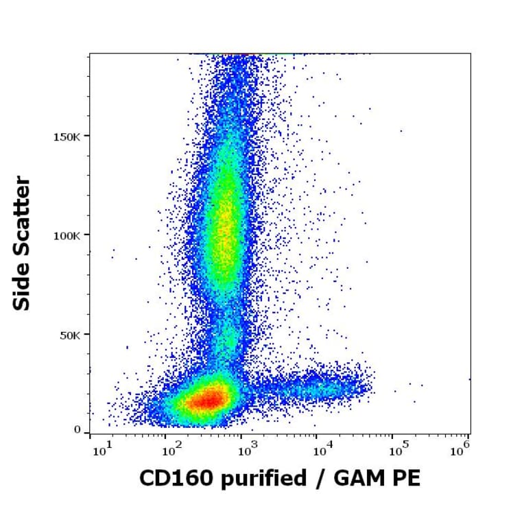 Flow Cytometry - Anti-CD160 Antibody [BY55] (A85756)