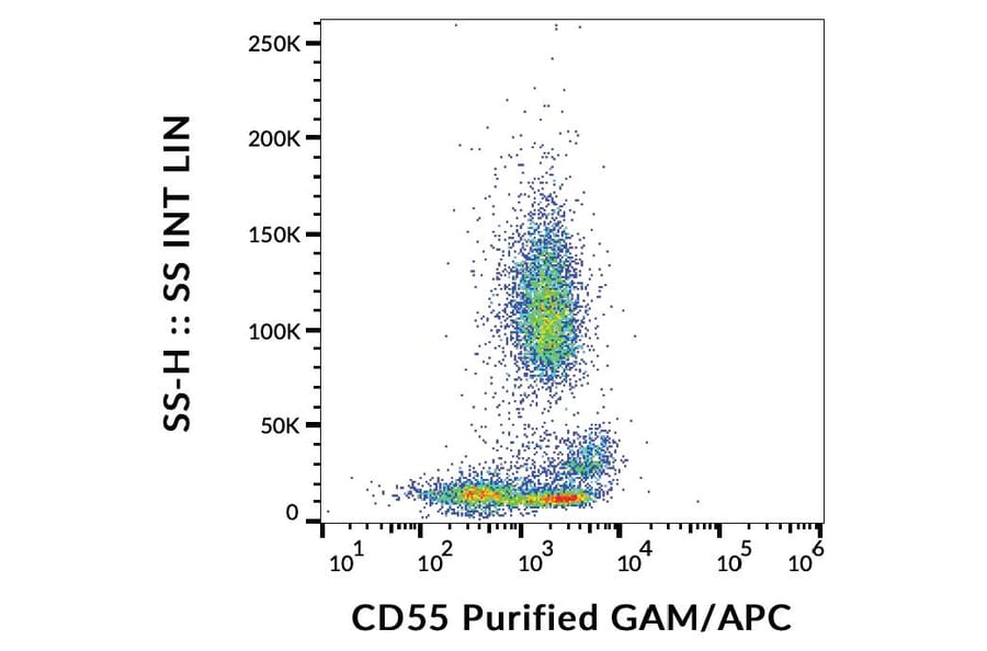 Flow Cytometry - Anti-CD55 Antibody [MEM-118] (A85758)