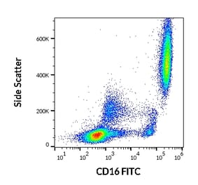 Flow Cytometry - Anti-CD16 Antibody [LNK16] (FITC) (A85763)
