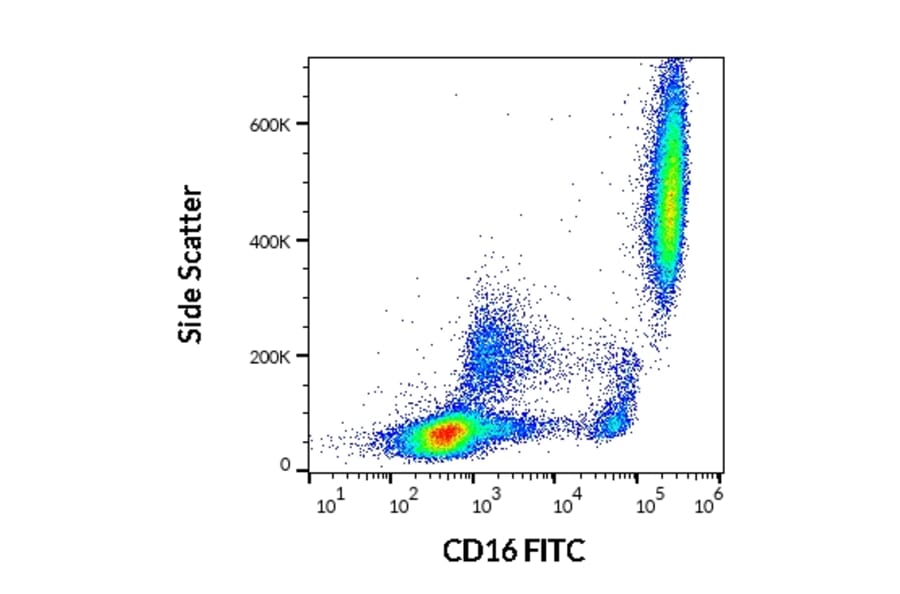 Flow Cytometry - Anti-CD16 Antibody [LNK16] (FITC) (A85763)