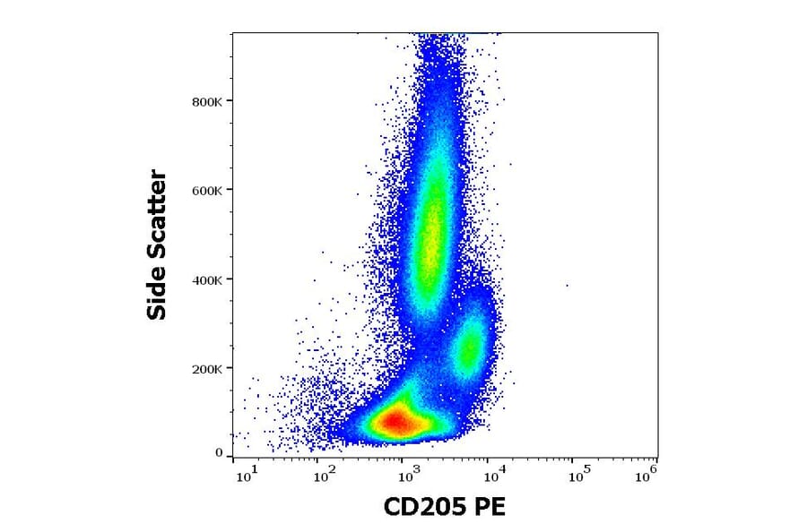 Flow Cytometry - Anti-CD205 Antibody [HD30] (PE) (A85769)