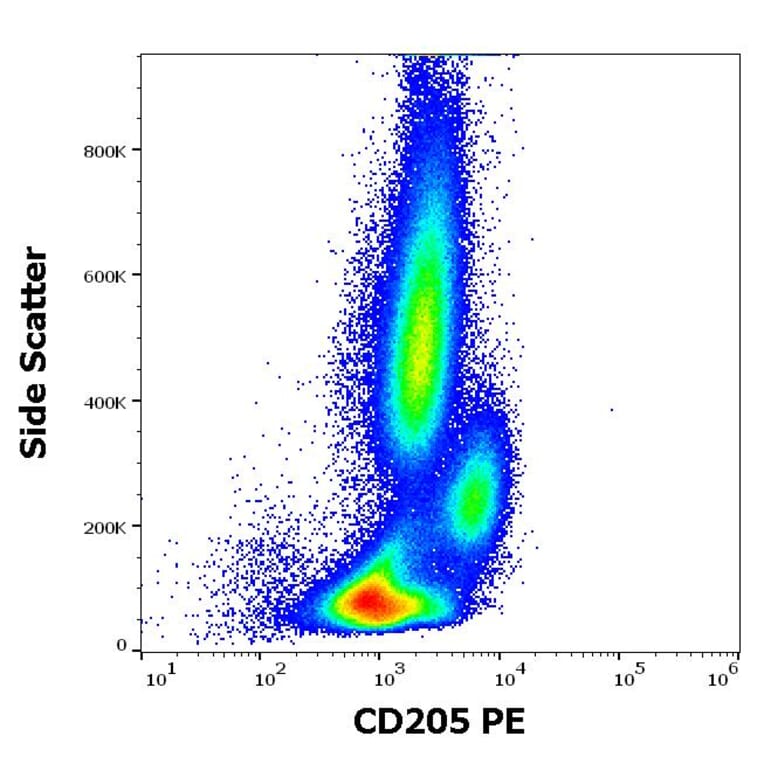 Flow Cytometry - Anti-CD205 Antibody [HD30] (PE) (A85769)