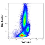 Flow Cytometry - Anti-CD205 Antibody [HD30] (PE) (A85769)
