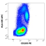 Flow Cytometry - Anti-CD205 Antibody [HD30] (PE) (A85769)
