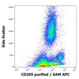 Flow Cytometry - Anti-LY75/DEC-205 Antibody [HD30] (A85770)