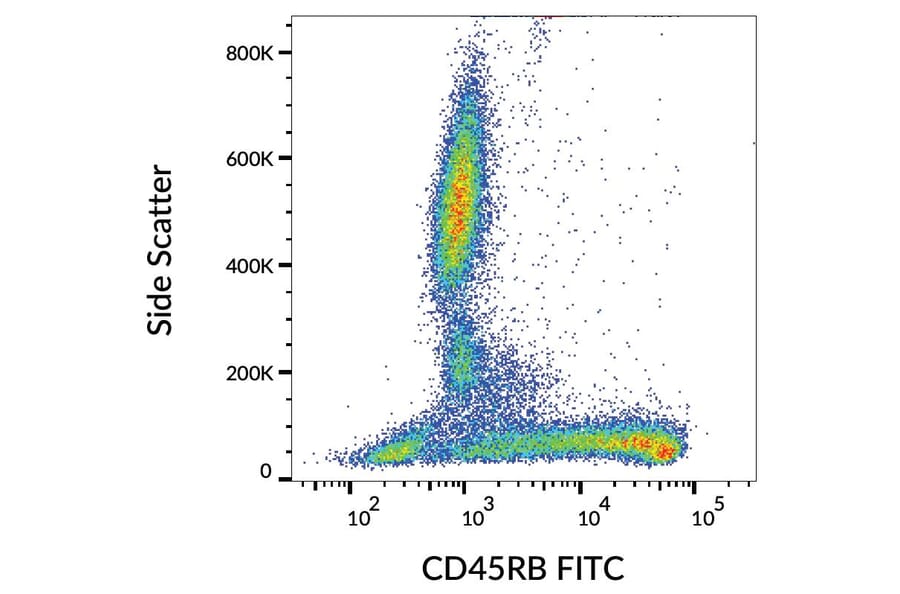 Flow Cytometry - Anti-CD45RB Antibody [MEM-55] (FITC) (A85774)