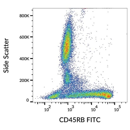 Flow Cytometry - Anti-CD45RB Antibody [MEM-55] (FITC) (A85774)