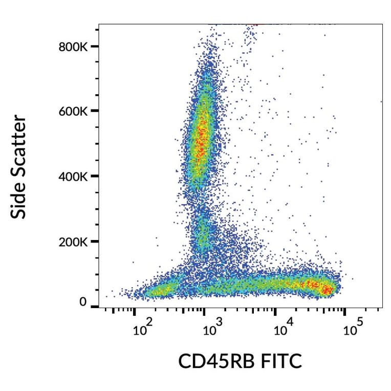 Flow Cytometry - Anti-CD45RB Antibody [MEM-55] (FITC) (A85774)