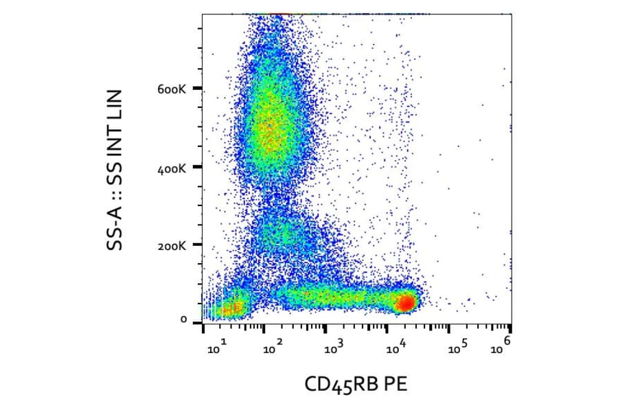 Flow Cytometry - Anti-CD45RB Antibody [MEM-55] (PE) (A85776)