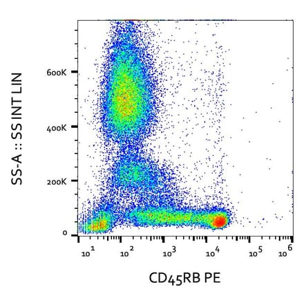 Flow Cytometry - Anti-CD45RB Antibody [MEM-55] (PE) (A85776)