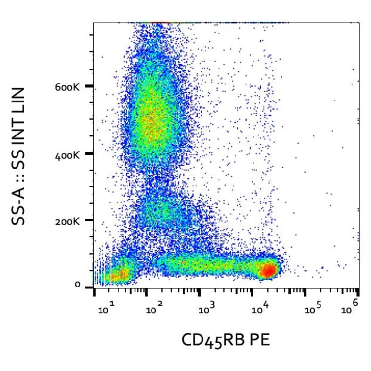 Flow Cytometry - Anti-CD45RB Antibody [MEM-55] (PE) (A85776)