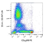 Flow Cytometry - Anti-CD45RB Antibody [MEM-55] (PE) (A85776)