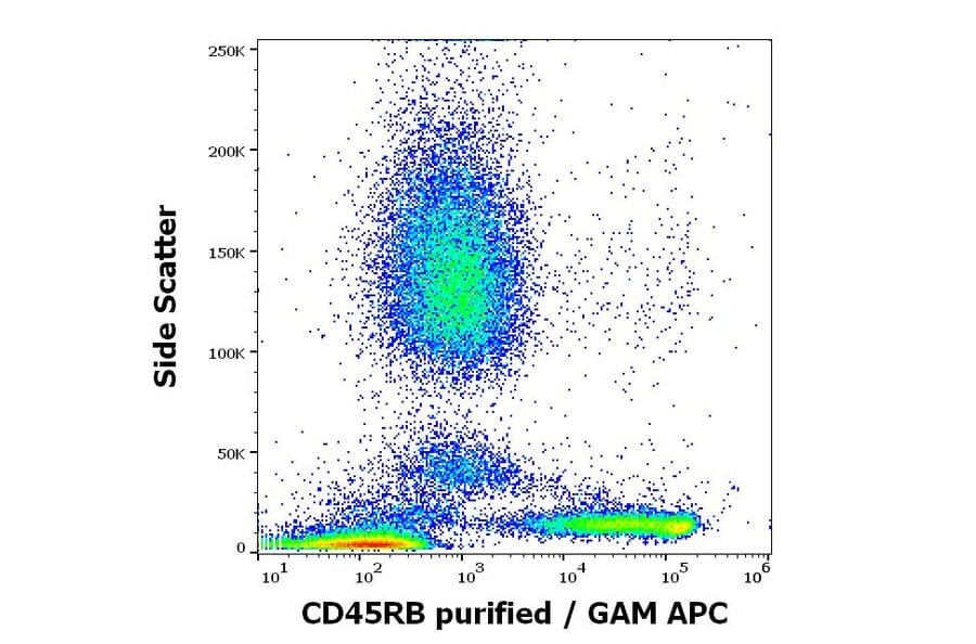 Flow Cytometry - Anti-CD45RB Antibody [MEM-55] (A85780)