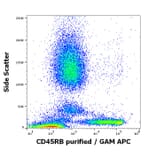 Flow Cytometry - Anti-CD45RB Antibody [MEM-55] (A85780)