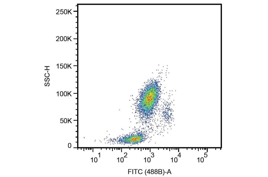 Flow Cytometry - Anti-CD33 Antibody [HIM3-4] (A85782)