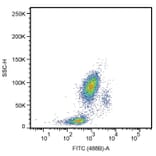 Flow Cytometry - Anti-CD33 Antibody [HIM3-4] (A85782)