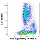 Flow Cytometry - Anti-CD62P Antibody [AK4] (A85794)