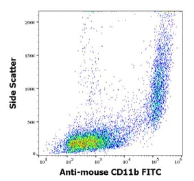 Flow Cytometry - Anti-CD11b Antibody [M1/70] (FITC) (A85796)