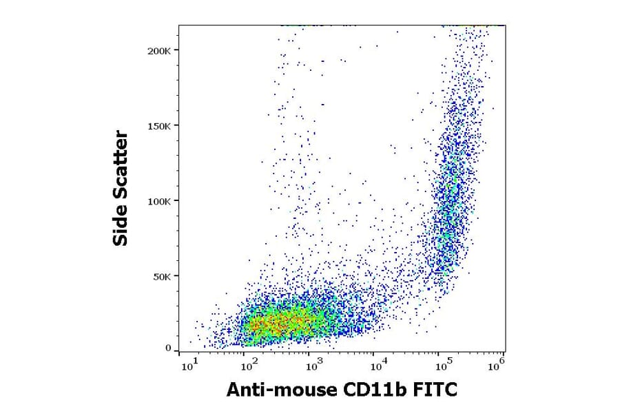 Flow Cytometry - Anti-CD11b Antibody [M1/70] (FITC) (A85796)